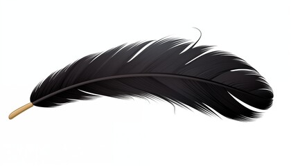 black feather isolated on white background