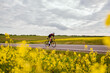 © Dmitry Homich/Stocksy - Cyclist among yellow fields