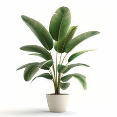 Wall Mural - 3D model of a potted plant, isolated on a white background, suitable for home decor and environmental studies