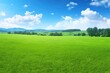 © VS - Expansive Green Meadow Under a Blue Sky