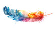 © mizan - Watercolor Vibrant Feather Painting isolated on a transparent background