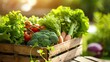 © Cherrin - Fresh organic vegetables in a wooden crate on a sunny day. Includes broccoli, lettuce, tomatoes, and carrots with vibrant green foliage.