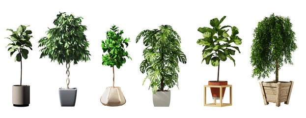 Plant set in vase isolated on white background.3d rendering with PNG File