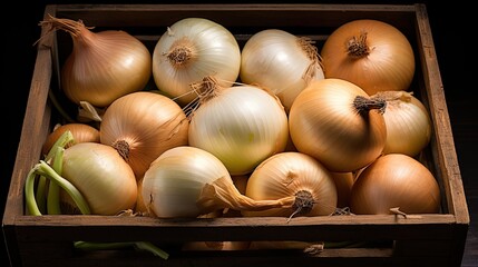 Canvas Print - harvest food onion isolated