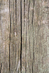 Wall Mural - Vertical texture of an old wooden board. Brown cracked wood.