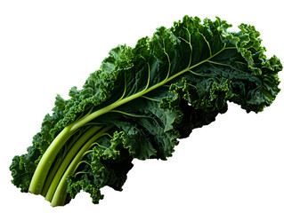 a leafy green vegetable