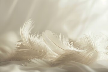 Poster - Close-up photo of white feathers elegantly displayed against a soft background, emphasizing their delicate texture and beauty, evoking peace and tranquility