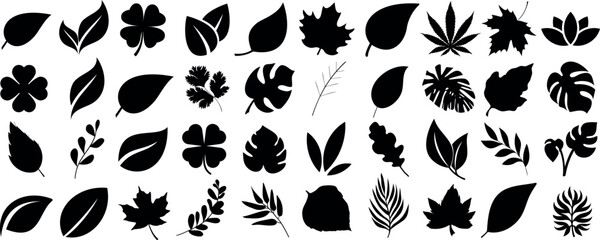 Wall Mural - leaf silhouette vector set, silhouette of leaves icon vector collection foliage shapes botanical design illustration. Perfect for nature, plant themed projects