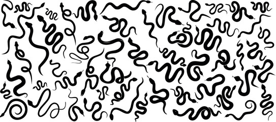 Wall Mural - snake silhouette set, abstract snake vector illustration