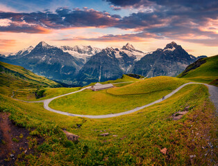 Wall Mural - Breathtaking summer sunset on outscirts of Grindelvald resort. Stunning morning view of Schreckhorn and Wetterhorn peaks, Switzerland, Europe. Beauty of nature concept background..