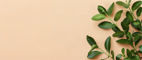 Wall Mural - Minimalistic flat lay background with green leaves on a beige colored background, copy space for text. Flat design mockup template.


