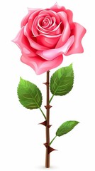 Wall Mural - cut out close-up high resolution photo of beautiful pink rose, high detail, top down view, isolated on white