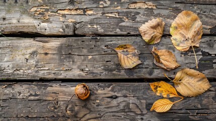 Wall Mural - Autumn display of dried leaves on aged wood