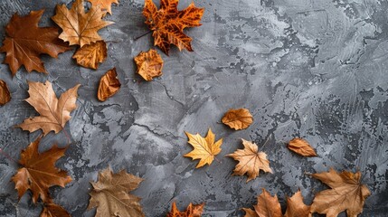 Wall Mural - Seasonal decoration with dried leaves on gray surface Ideal for autumn fall and thanksgiving themes Overhead view with room for text square format