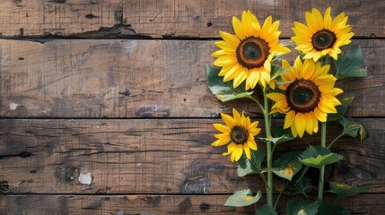 Wall Mural - Sunflowers on wooden surface seen from above