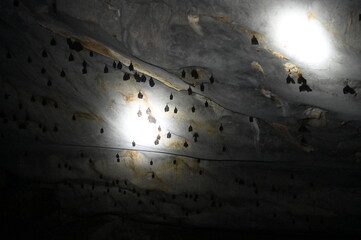 Wall Mural - The Fairy Cave and Wind Cave of Bau, Sarawak, Borneo, Malaysia