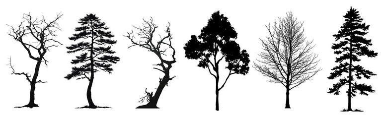 Poster - Silhouette trees png cut out element set