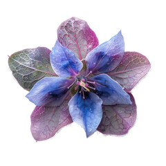 Canvas Print - Beautiful borage flower flat lay, top view showcasing its vibrant blue petals and delicate green leaves.