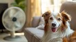 © Salsabila Ariadina - A happy dog sits on a couch with a fan nearby