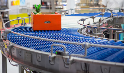 Wall Mural - Package of fruits on conveyor. Packing fruits in box container in production line.