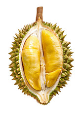 Wall Mural - Durian Fruit Isolated