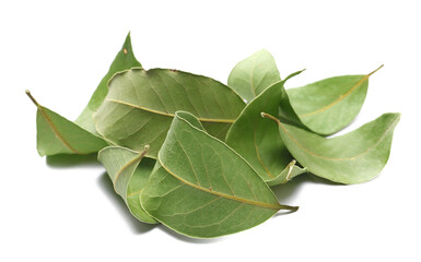 Wall Mural - Dried green bay leaves, isolated on white, clipping