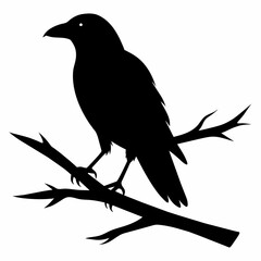 Wall Mural - Crow, Bird, Silhouette, Vector, Illustration, Branch, Detailed, Guide, Art, Design, Wildlife, Nature, Black, Outline, Drawing, Clipart, Graphic, Raven, Animal, Symbol, Isolated, Free, Template, Stock,