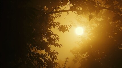 Poster - The sun appears in the morning sky