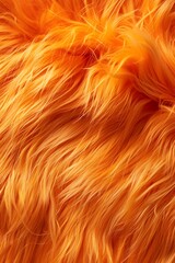 Wall Mural - orange fur background