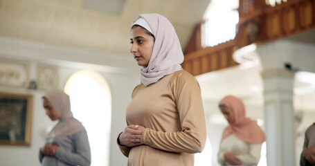 Wall Mural - Islam, prayer and group of women in mosque for worship, spiritual inclusion or holy praise to Allah. Culture, respect and Muslim people together with gratitude, praise and solidarity in religion