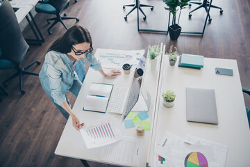 Wall Mural - Photo portrait of lovely young lady graph statistics dressed stylish denim garment modern workplace working office coworking indoor