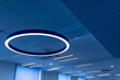 © LariBat - Lighting equipment. Large round fluorescent lamp and many linear LED lamps on the suspended ceiling. Lighting engineering solutions