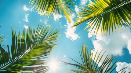 Canvas Print - Palm leaves in the sky with focused nature