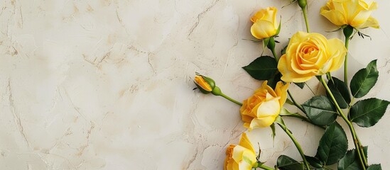 Poster - Yellow roses adorning a blank card set against a light grey background in a flat lay composition with copy space image.