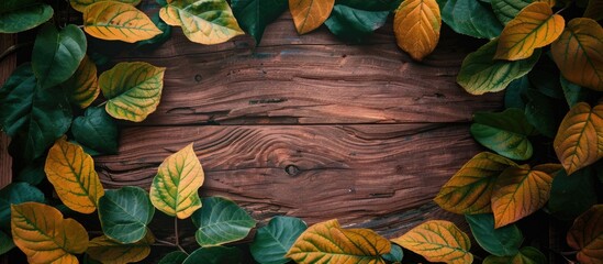 Poster - Copy space image featuring a frame with vivid green and yellow leaves on a wooden board background.