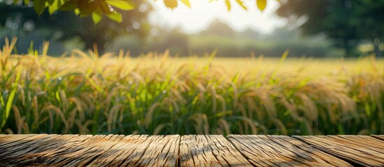 Aufkleber - Blurry field or garden background with a wooden table top during the day, showcasing harvested rice or whole wheat for product display or design layouts with a view of copy space image.