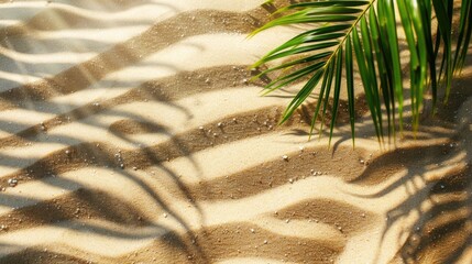 Wall Mural - Morning beach sand for summer background with space for copy