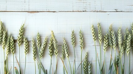 Poster - Vintage background of green wheat ears on white wooden board top view Copy space included