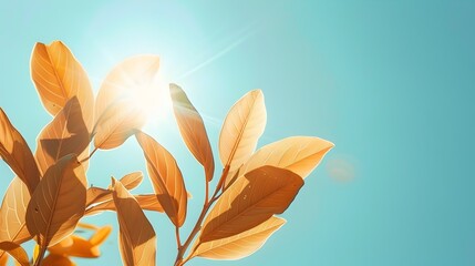 Peaceful Sunlit Leaves Floating in a Clear Blue Sky for Serene Ambiance