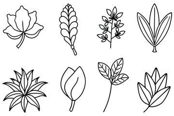 Botanical Hand Drawn Line Art Pen art of botanicals