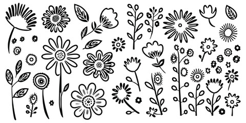 Poster - Hand drawn plant elements, flowers and leaves, vector design