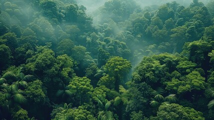 Aufkleber - Lush green forest. Aerial high view. Generative AI.