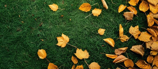 Poster - A scenic view from above showing yellowed leaves on a green background, providing space for your copy.