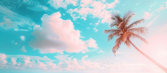 Poster - Copy space image of a beach in summer with a palm tree against a blue sky dotted with clouds, featuring pastel hues and a soft, blurred background.