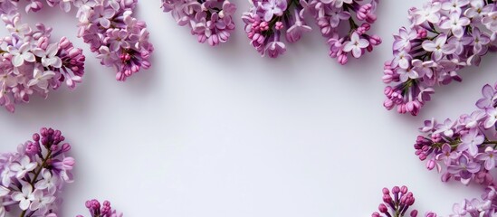 Aufkleber - White background with lilac blossoms creating frame, ideal for copy space image.
