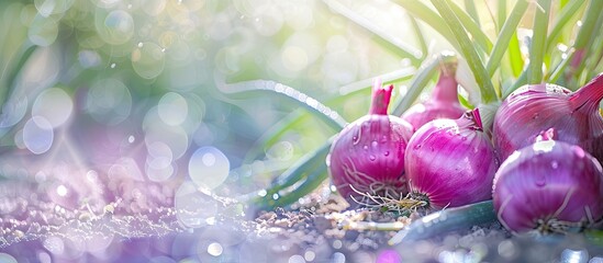 Aufkleber - Nature scenes featuring onions growing in a garden with selective focus and ample copy space image.