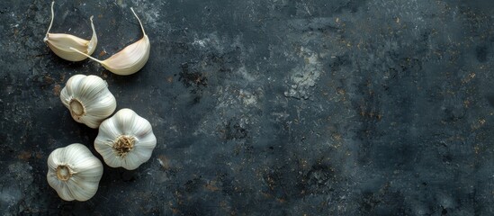 Poster - Garlic seen from above on a dark background, showcasing available copy space image.