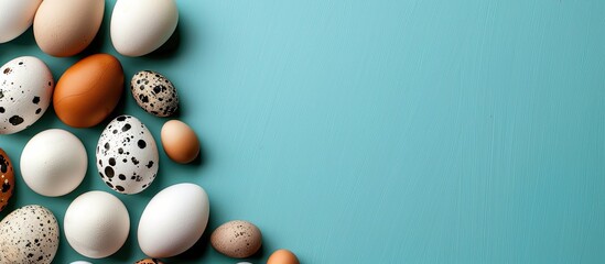 Poster - Different kinds of eggs including white goose, brown chicken, and spotted quail eggs displayed against a turquoise backdrop with copy space image.
