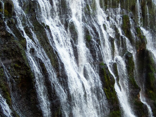 Wall Mural - Burney Falls in California