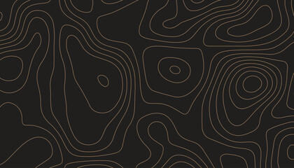 Wall Mural - Background of the topographic map. Topographic map lines, contour background. Black and gold abstract background.